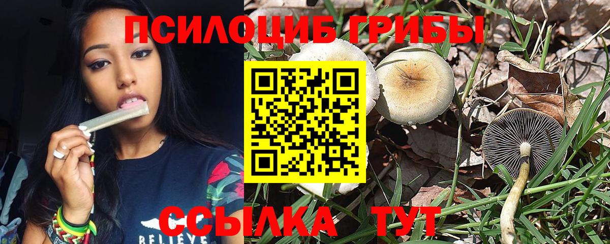 Псилоцибиновые грибы GOLDEN TEACHER  дарнет шоп  Псилоцибиновые грибы Psilocybe  Чистополь  Вход с VPN 